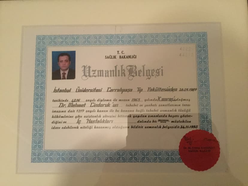Uzmanlık Belgesi