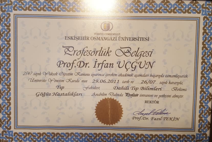 Prof. Belgesi