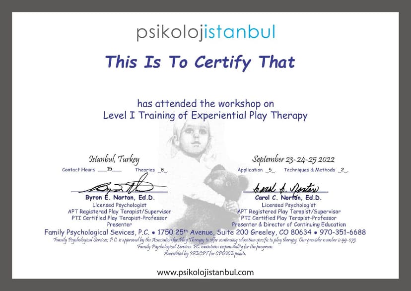 Deneyimsel Oyun Terapisi 1. Düzey