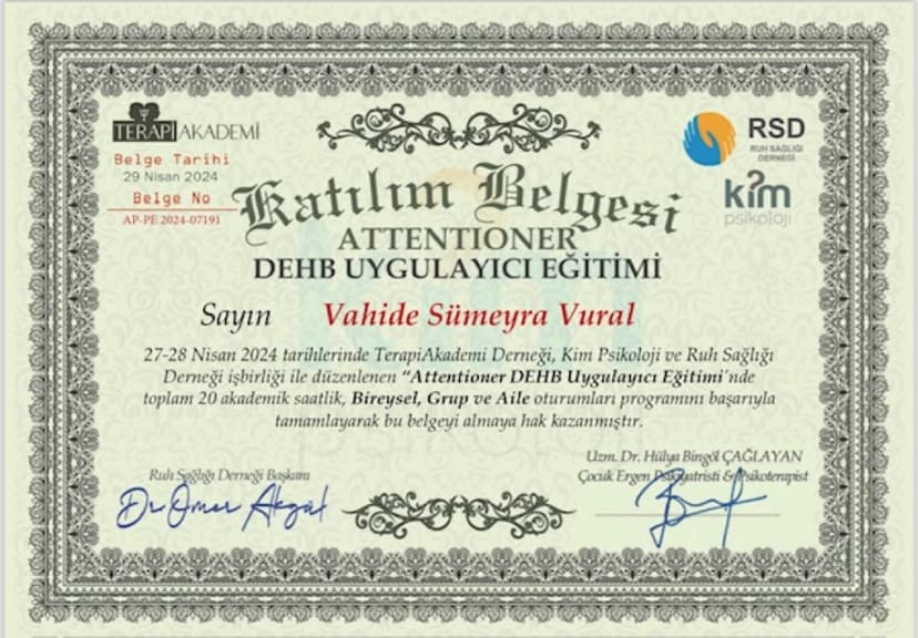 Attentioner Dikkat Geliştirme Programı