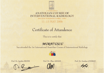 1st International Anatolian Course of Intervetional Radiology