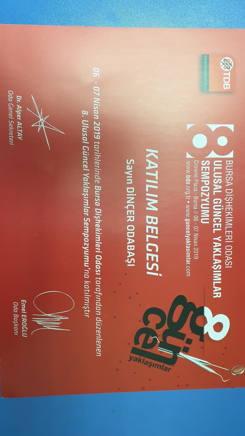 BDO  8. Güncel yaklaşımlar