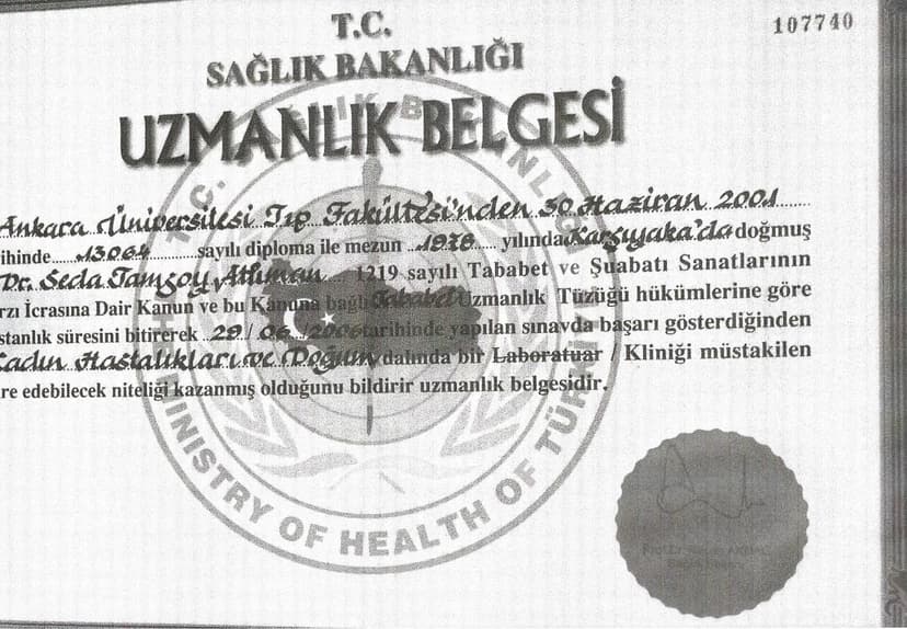 Uzmanlık Belgesi