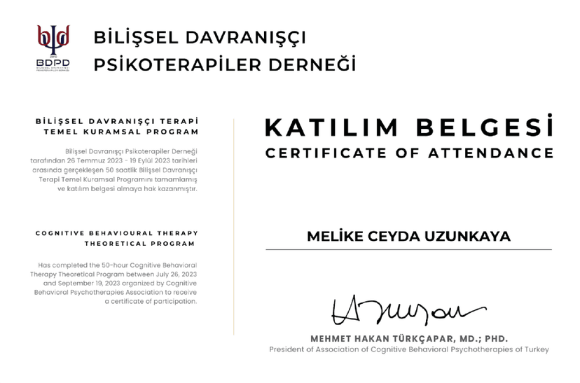 HAKAN TÜRKÇAPAR BİLİŞSEL DAVRANIŞÇI TERAPİ TANO VE DEĞERLENDİRME PROGRAMI