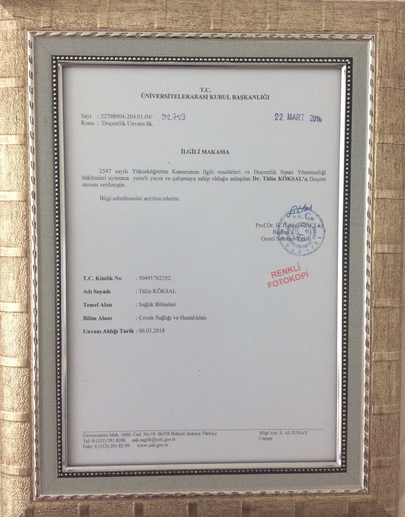 DOÇENTLİK BELGESİ