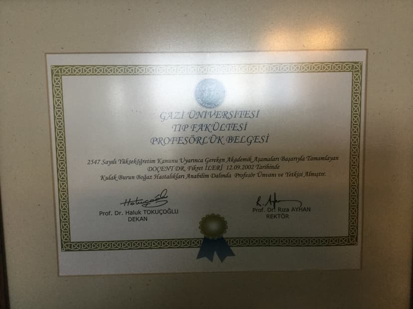 Profesörlük Belgesi