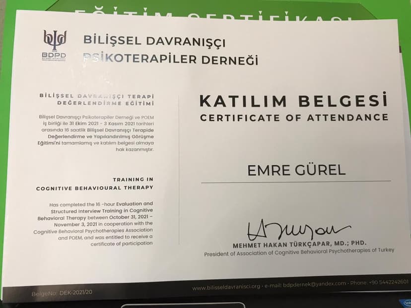 BİLİŞSEL DAVRANIŞÇI TERAPİ DEĞERLENDİRME EĞİTİMİ (16 SAAT) PROF.DR.HAKAN TÜRKÇAPAR