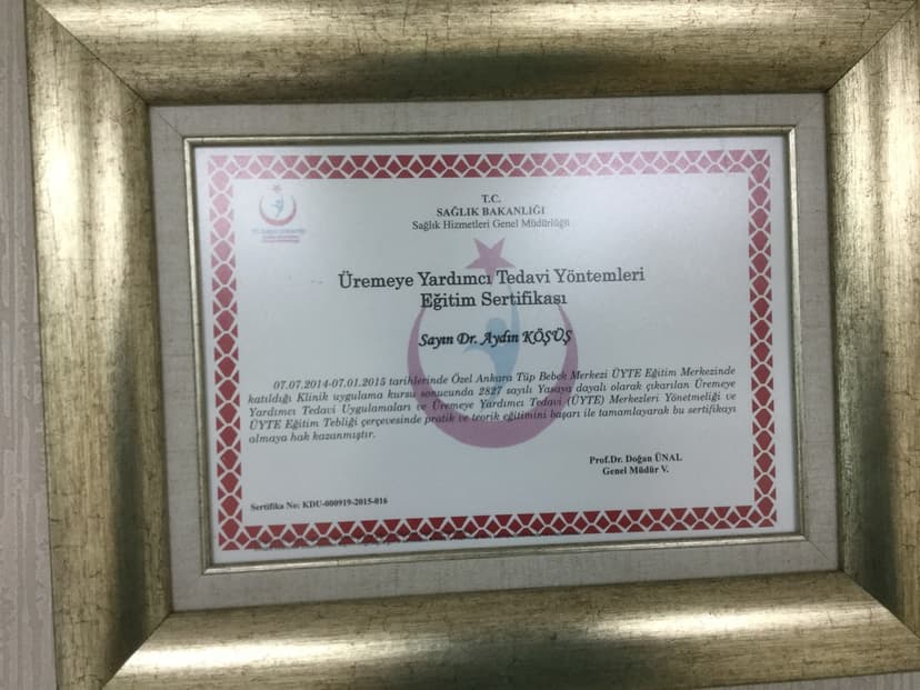 Tüp Bebek Sertifikası