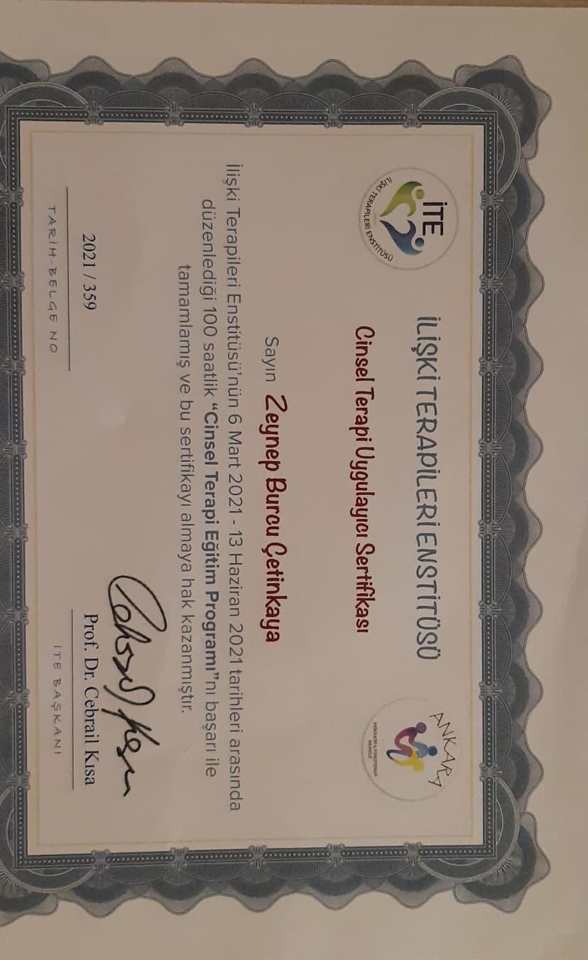 Sistemik Cinsel Terapi