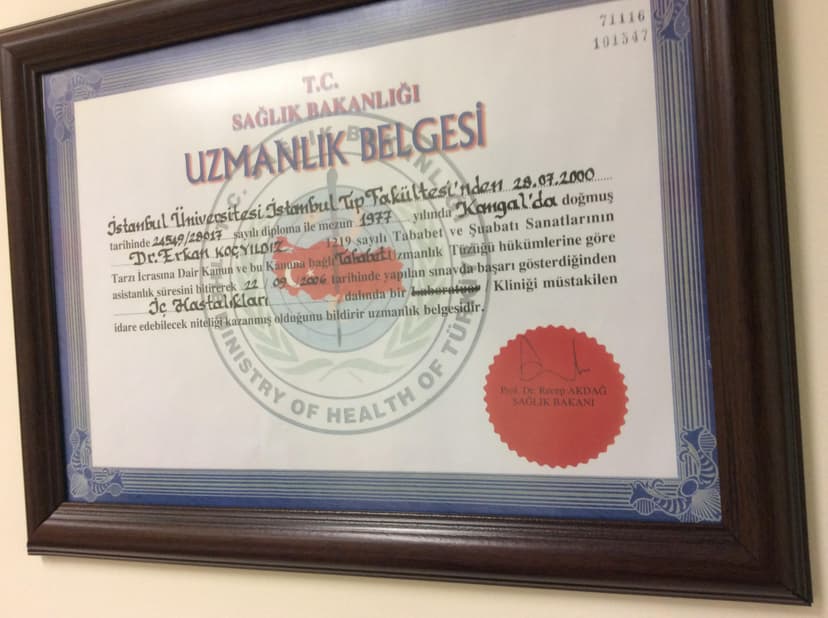 Uzmanlık Belgesi