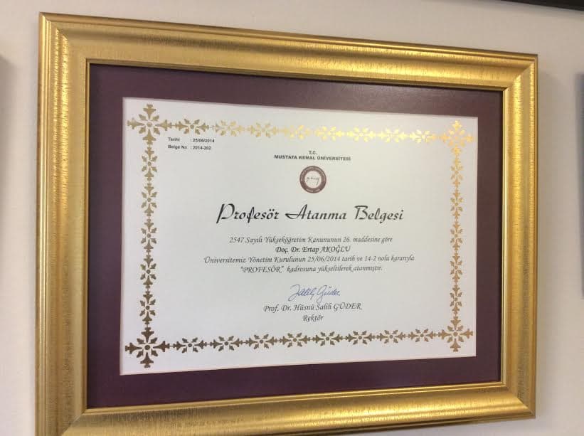 Profesör Atanma Belgesi