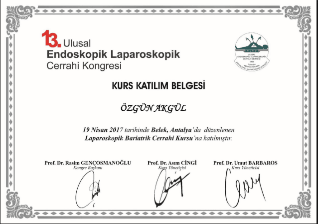 13. Ulusal Endoskopik Laparoskopik Cerrahi Kongresi