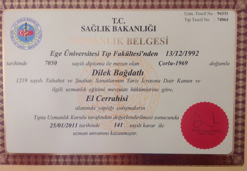 Uzmanlık Belgesi (El Cerrahisi)