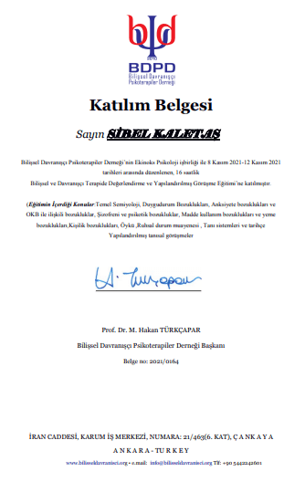 BİLİŞSEL DAVRANIŞÇI PSİKOTERAPİ DEĞERLENDİRME VE YAPILANDIRILMIŞ GÖRÜŞME EĞİTİMİ