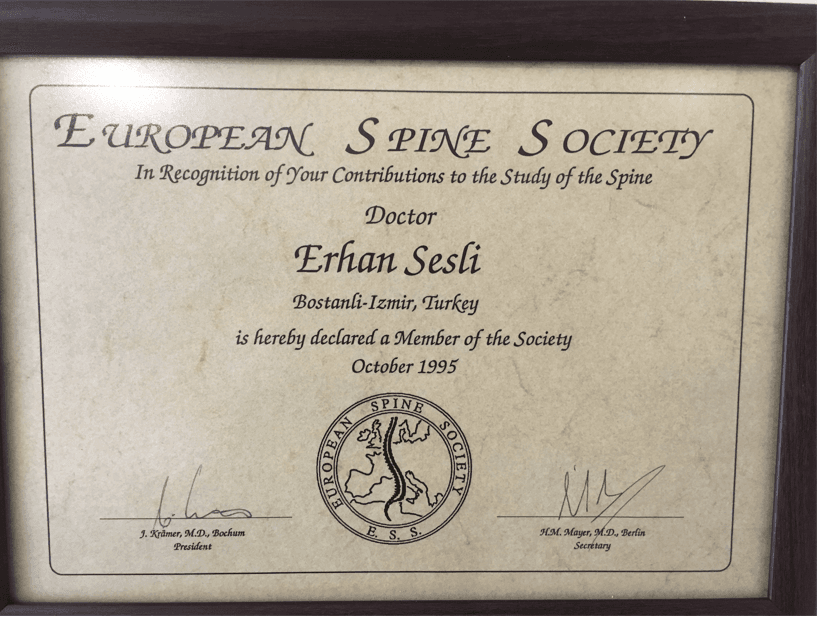 EUROPEAN SPINE SOCIETY