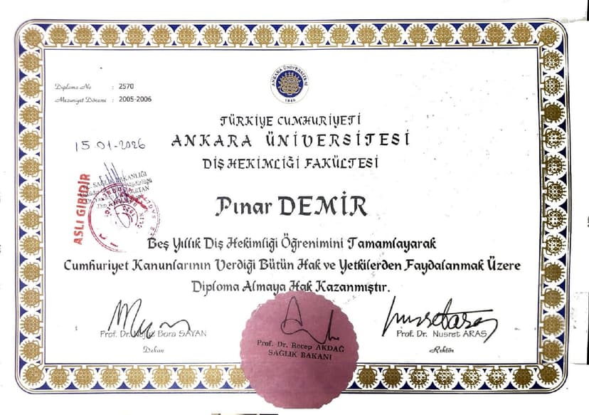 Sertifika
