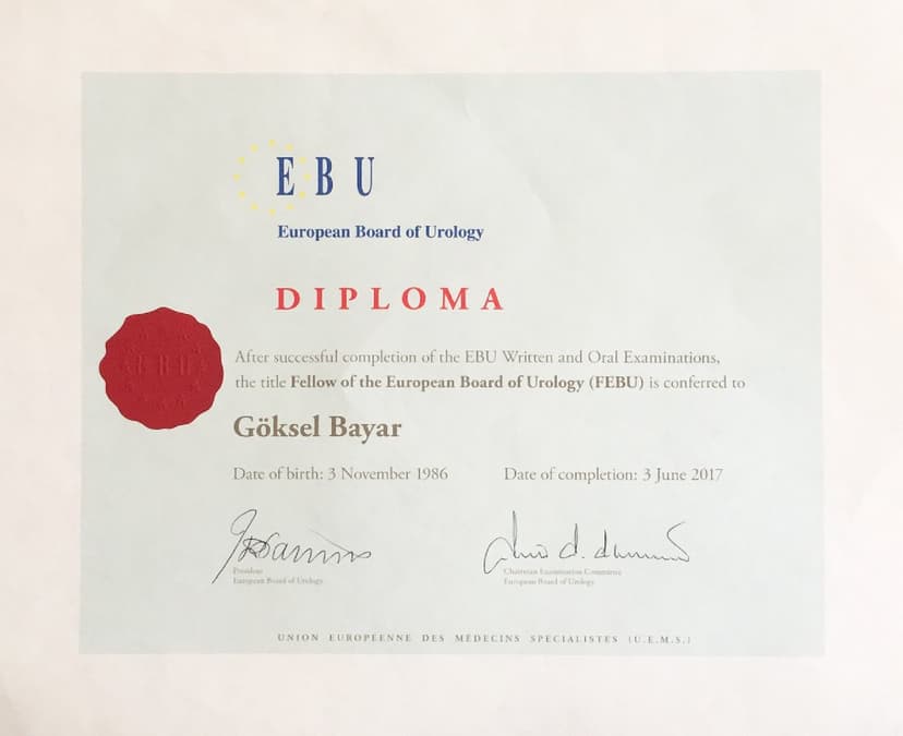 Avrupa Üroloji Derneği Fellow
