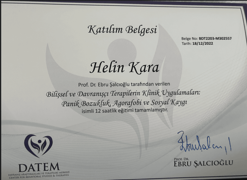 Panik Bozukluk, Agorafobi ve Sosyal Kaygı