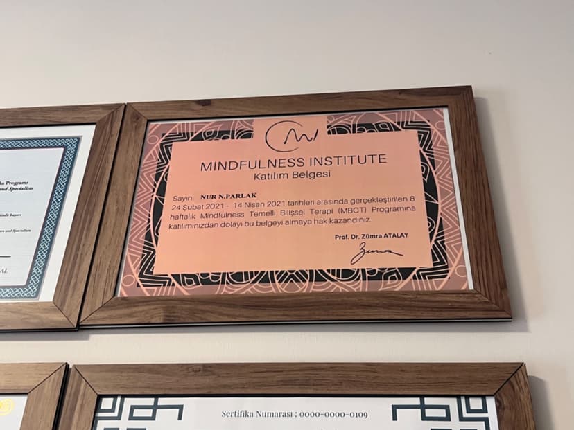 Mindfullnes temelli bilişsel davranışcı terapi