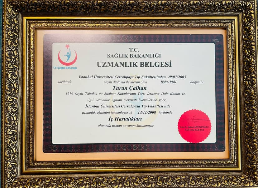 Uzmanlık Belgesi