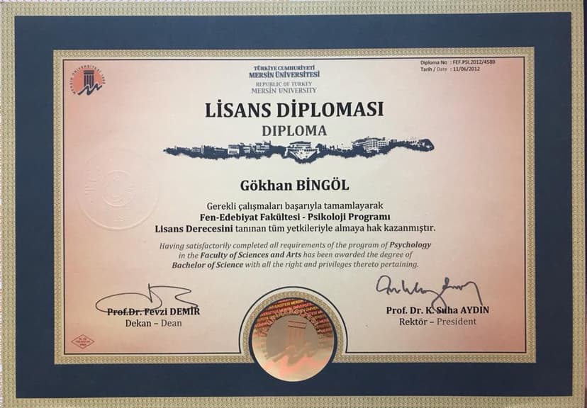 Lisans Diploması