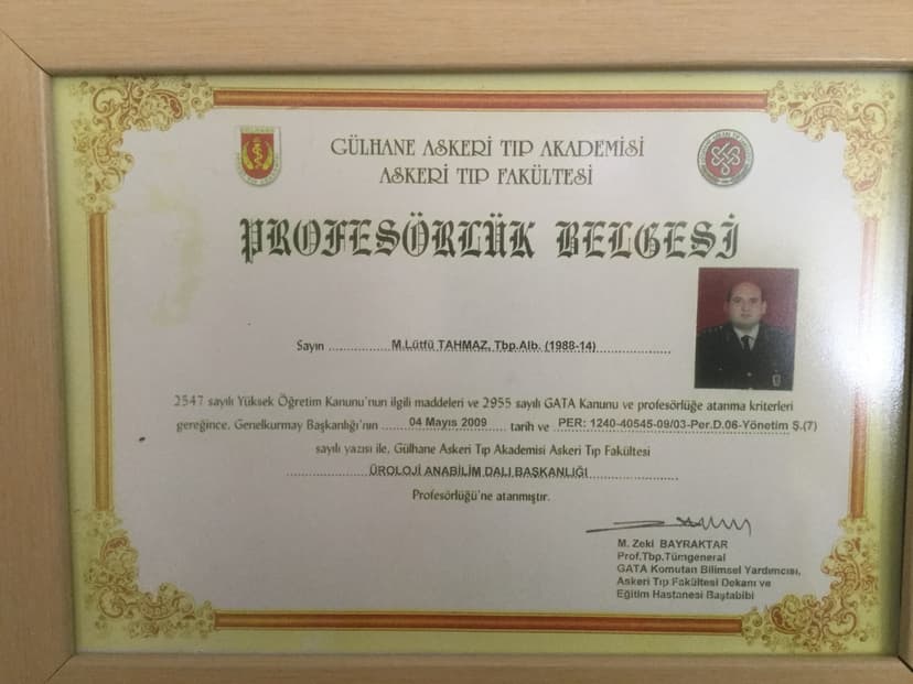 Profesörlük Belgesi