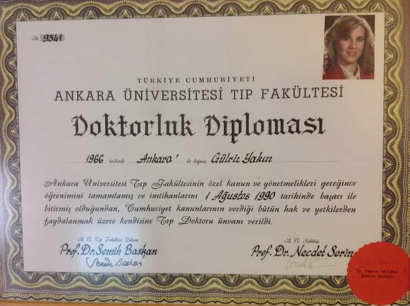 Üniversite Diploması