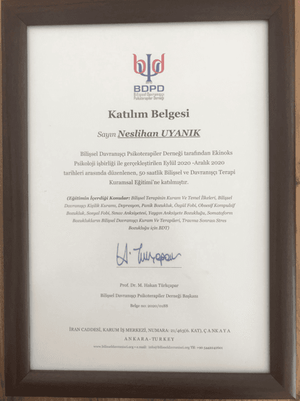 BİLİŞSEL DAVRANIŞCI TERAPİ VE KURUMSAL EĞİTİM