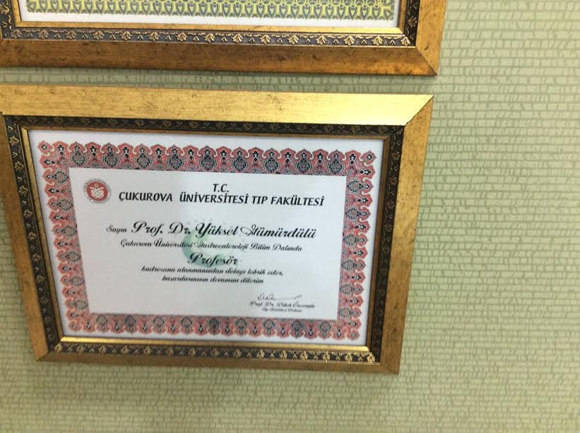 Profesörlük Belgesi