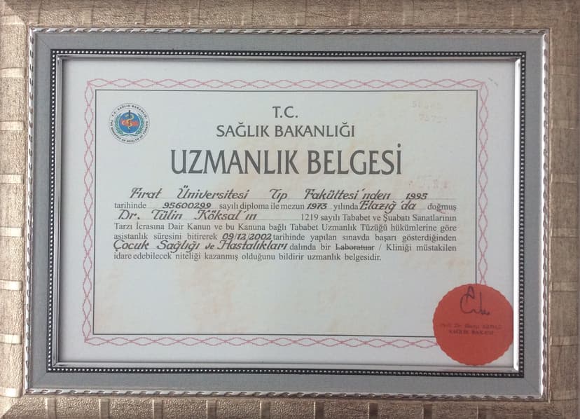 UZMANLIK BELGESİ