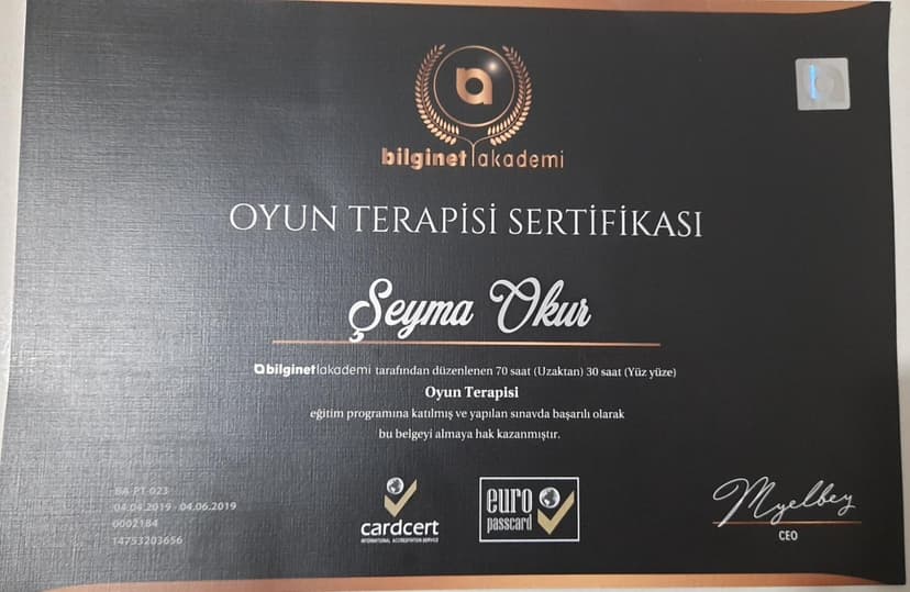 Oyun Terapisi Sertifikası