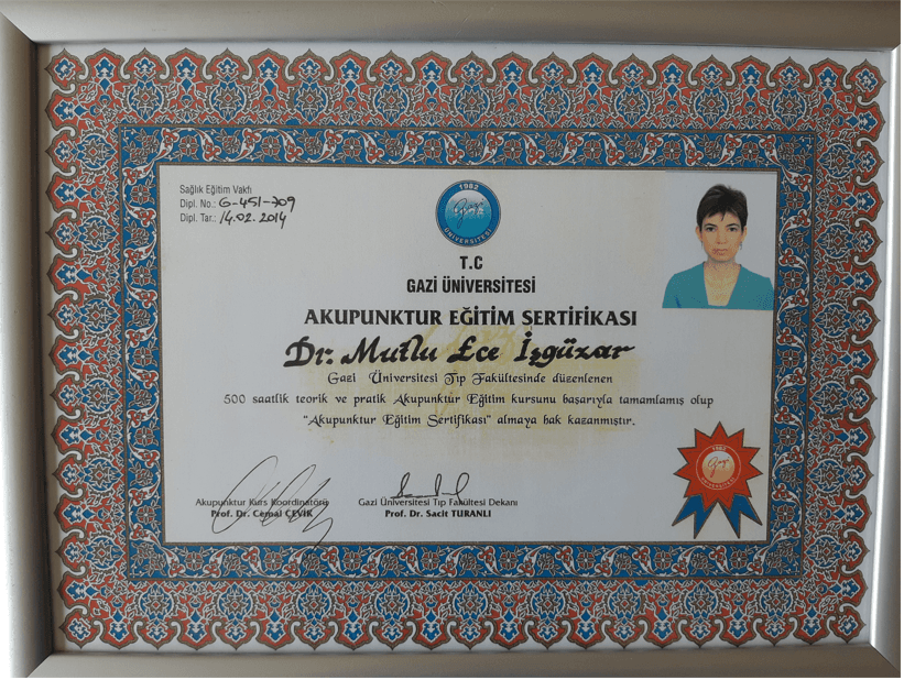 AKUPUNKTUR EĞİTİM SERTİFİKASI