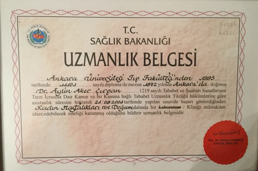 Uzmanlık Belgesi