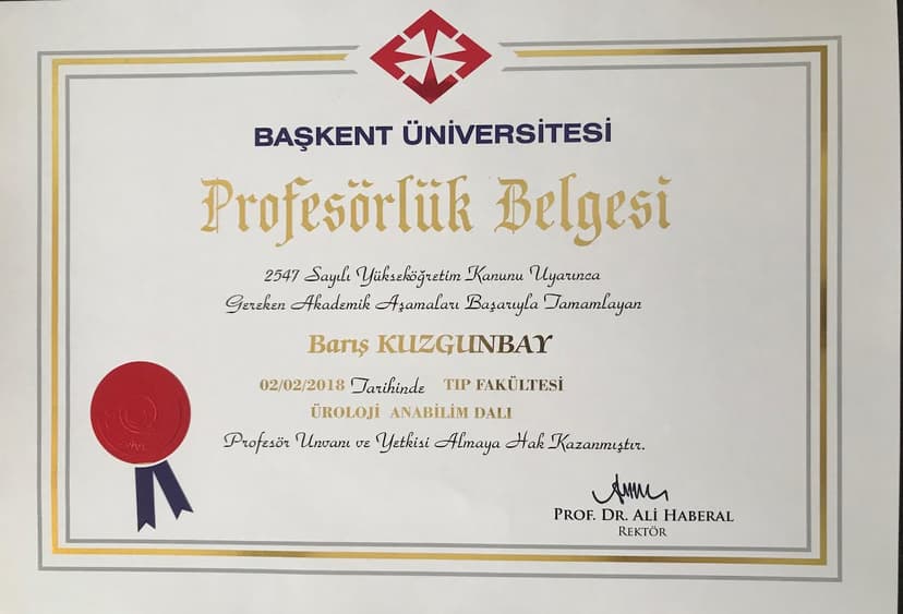 Prof. Dr. Barış Kuzgunbay