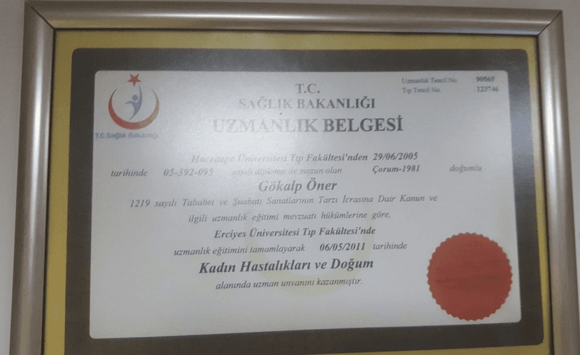 Uzmanlık Belgesi