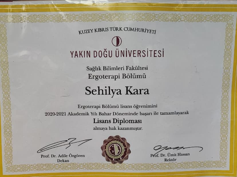 Lisans Diploması