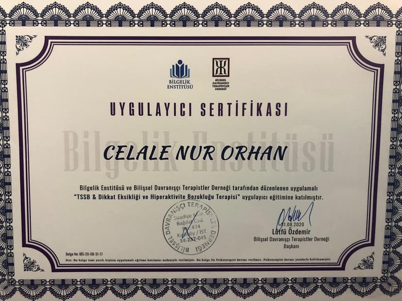 Travma Sonrası Stres Bozukluğu Terapisi