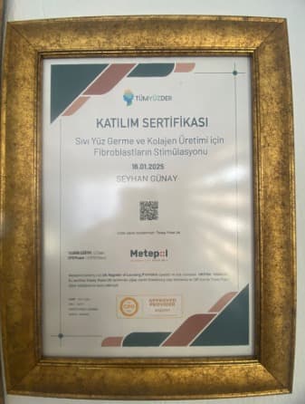 sertifika