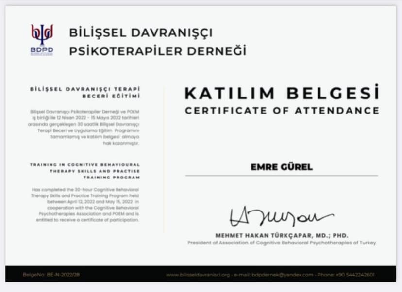 BİLİŞSEL DAVRANIŞÇI TERAPİ BECERİ EĞİTİMİ (30 SAAT) PROF.DR.HAKAN TÜRKÇAPAR