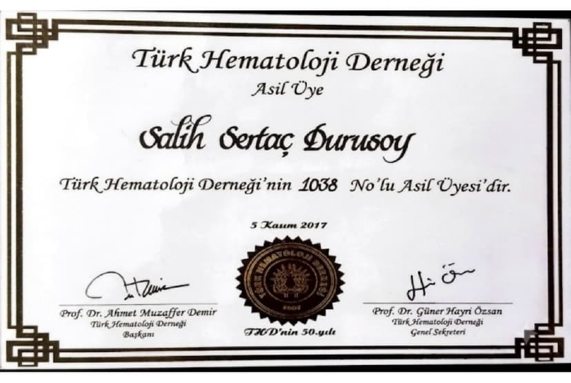 sertifika