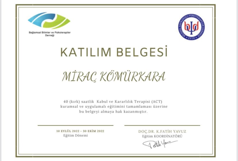 Kabul ve Kararlılık Terapisi