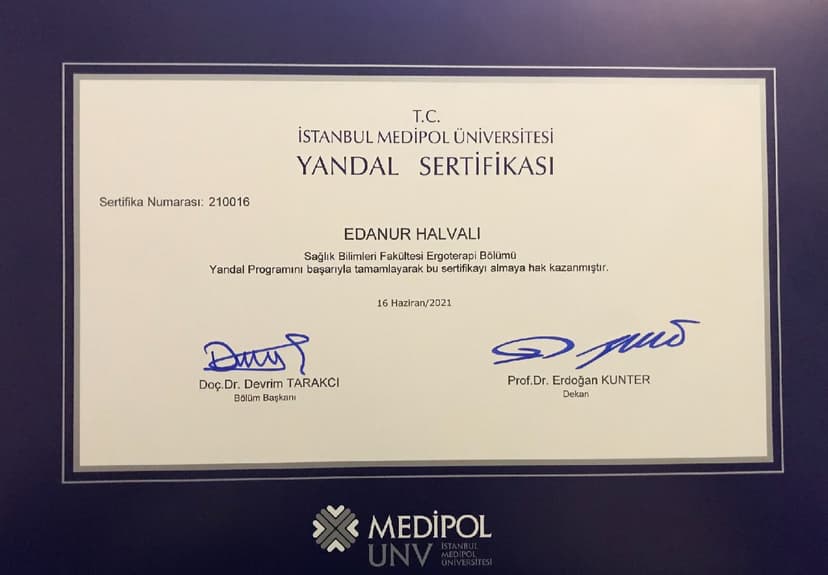 Ergoterapi Yandal Sertifikası