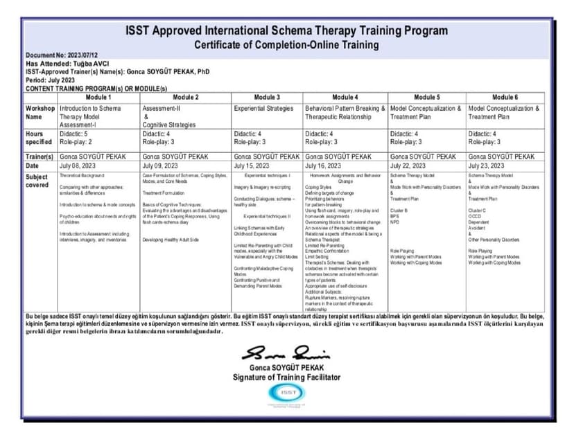 Uluslararası Şema Terapi Temel Düzey Uygulayıcı Eğitimi (ISST Onaylı)