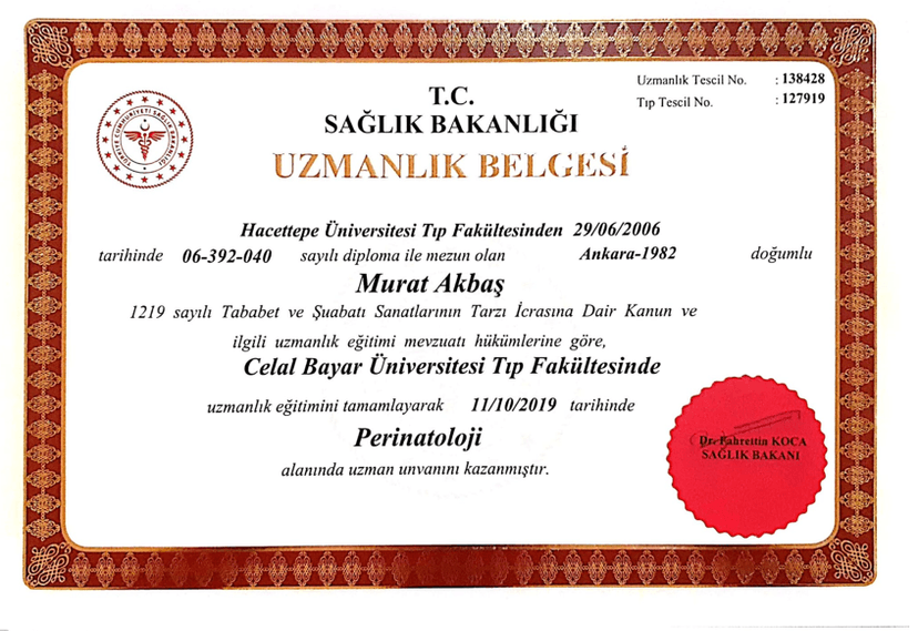 UZMANLIK BELGESİ