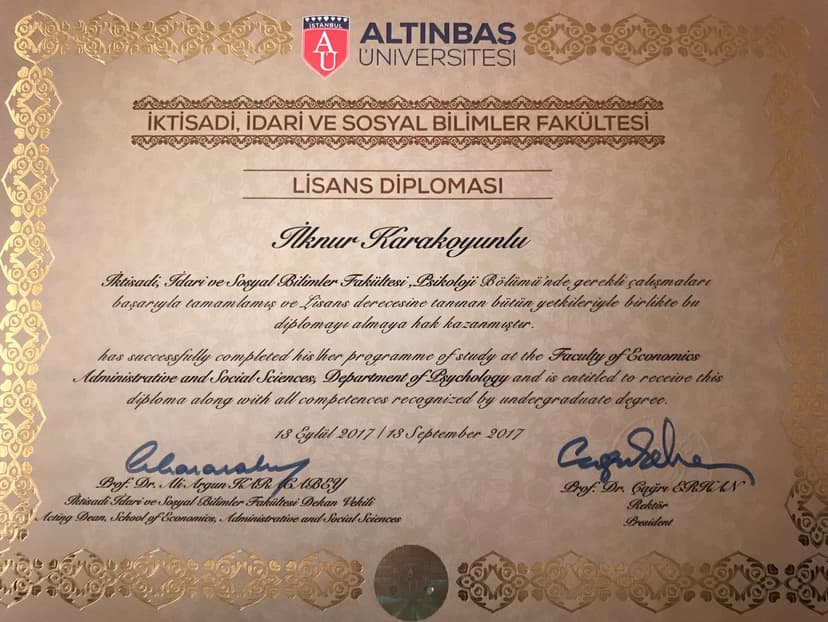 İstanbul Altınbaş Üniversitesi