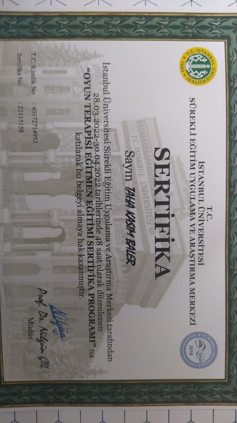 Oyun Terapisi Eğitici Eğitimi İstanbul Üniversitesi