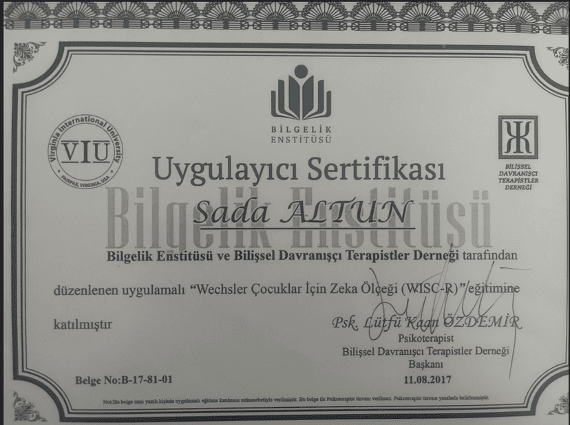 BİLGELİK ENSTİTÜSÜ VE BİLİŞSEL DAVRANIŞÇI TERAPİ