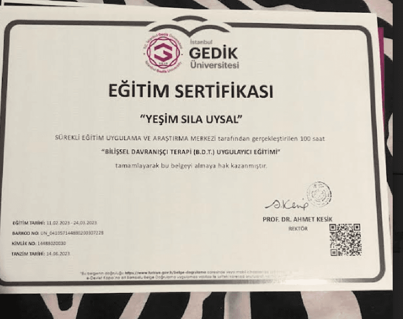 Bilişsel Davranışçı Terapi (B.D.T.) Uygulayıcı Eğitimi