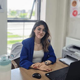Mina Uluışık