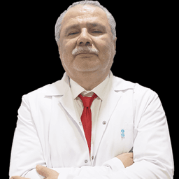 Aydın Karanfil